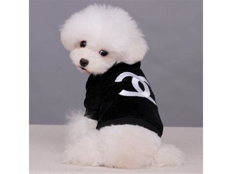 chanel puppy clothes|coco Chanel dog outfits.